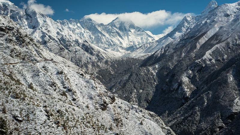 免费看电影团队文化与愿景