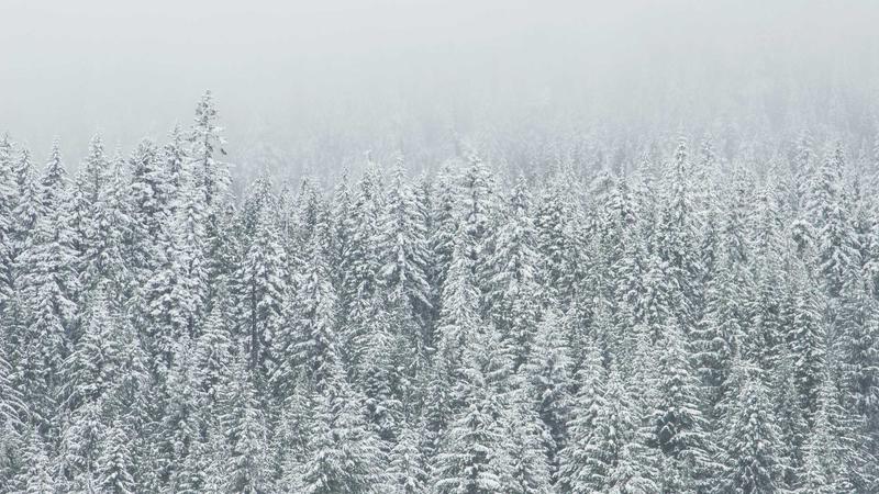 免费看电影海量片库每日更新